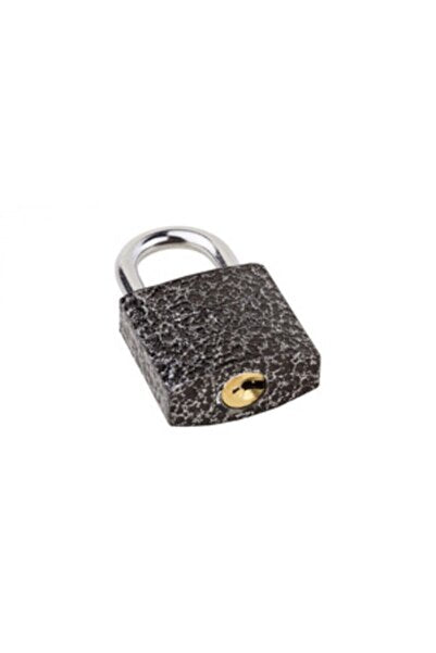 Castle Padlock 25mm Cast