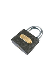 Castle Padlock Casting 60mm