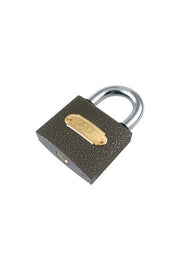Castle Padlock No 25