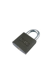 Gray Cast Padlock 25 mm