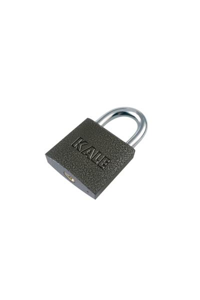 Gray Cast Padlock 25 mm
