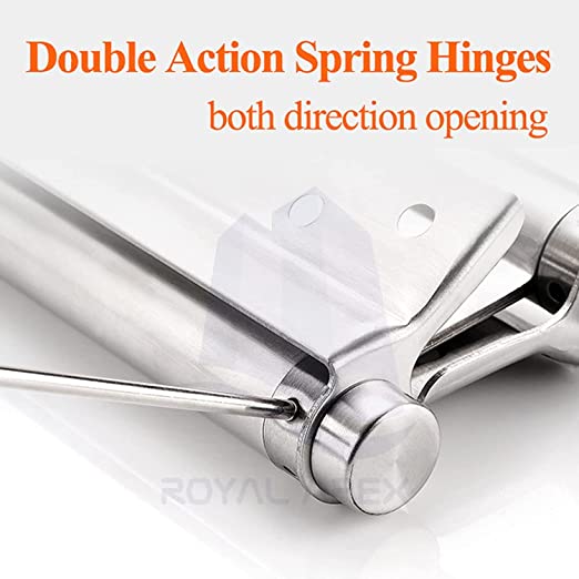 Hinge S.S. Double Action 4"