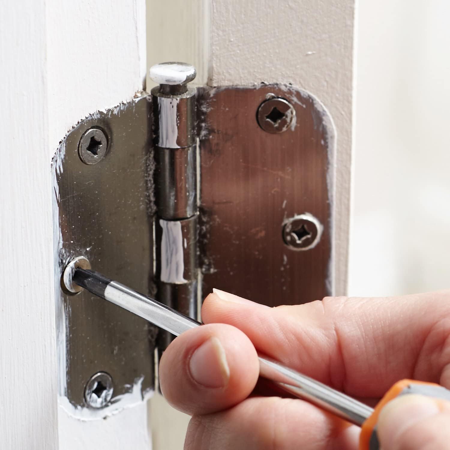 Hinges Stainless Steel 2 inch and 3 Inch