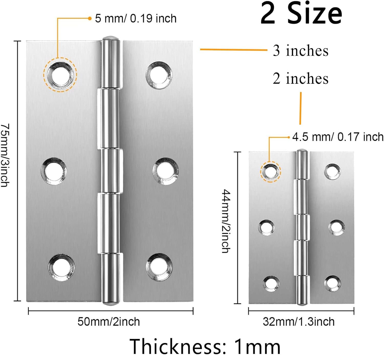 Hinges Stainless Steel 2 inch and 3 Inch