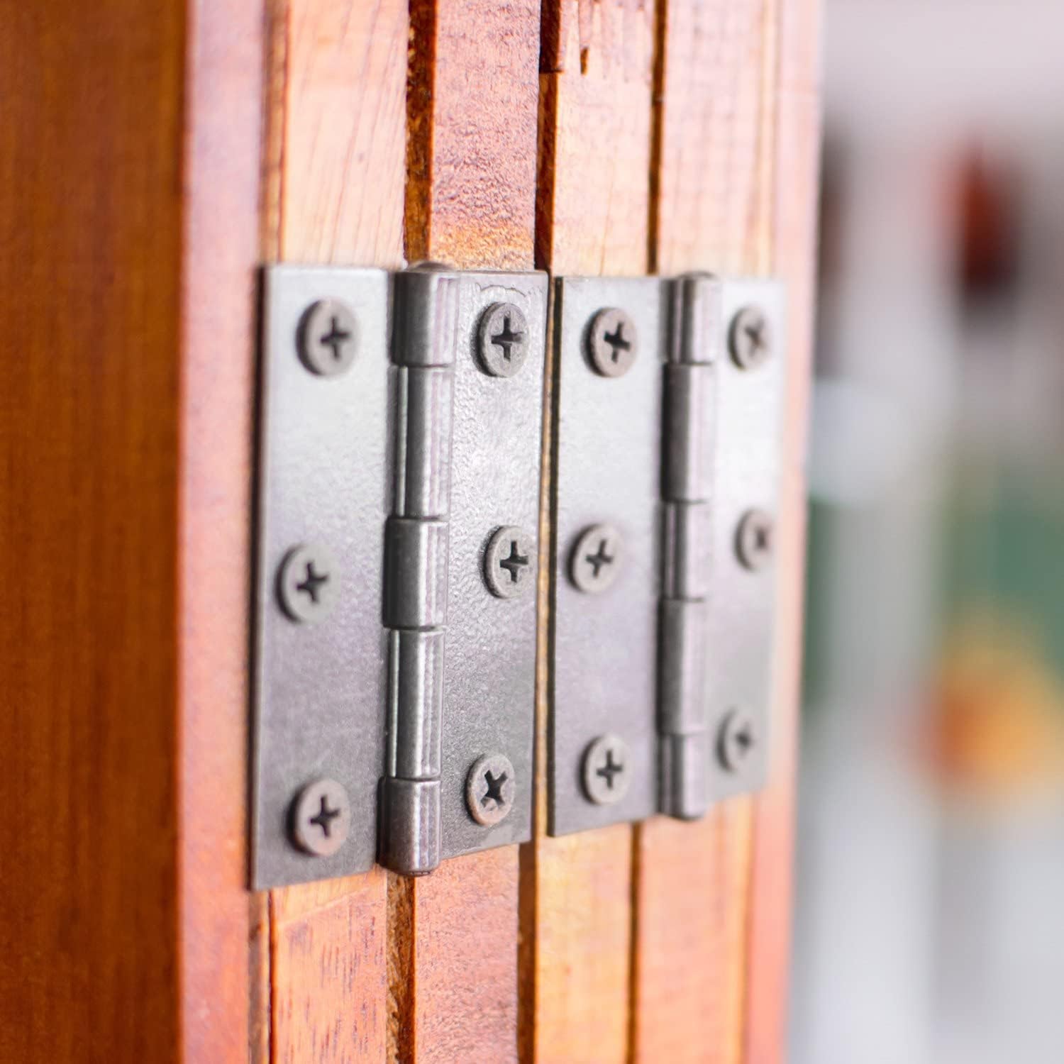 Hinges Stainless Steel 2 inch and 3 Inch