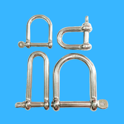 SS D-SHACKLE