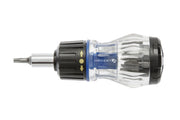 Ratcheting multi-bit screwdriver