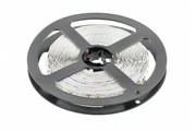 Flash Strip 24V 2835, 600 LED Cold White, 78W, Without Gel 10mm, Roll 5m (2 cables)