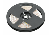 LED strip FLASH, 2835, 600 LED neutral white, 60W, waterproof 10mm, Roll 5m, 12V (2 cables)