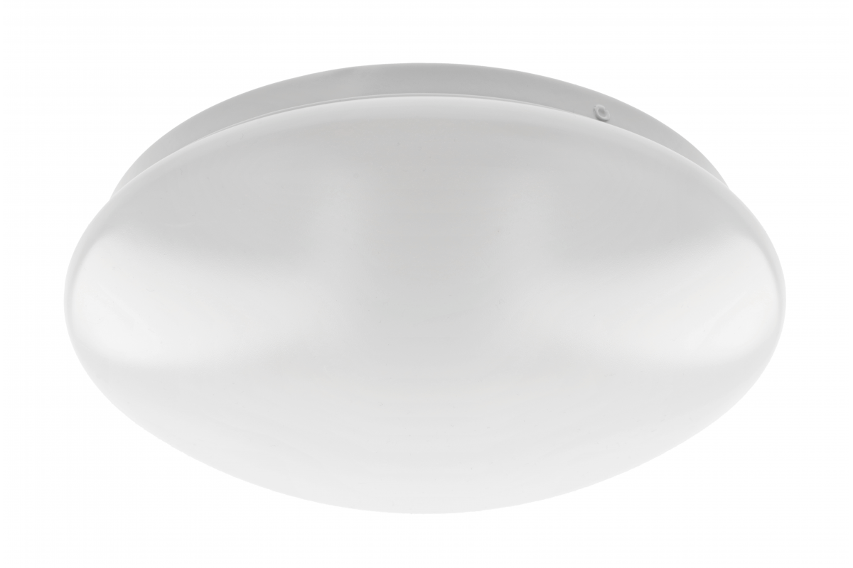 Ceiling lamp ASTRA LED, ?255mm, 4000K, 12W, 960lm, AC220-240V, 50/60Hz, PF>0,5, IP54, 3y