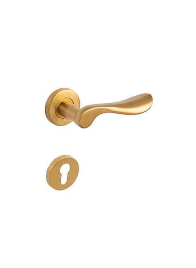 مقبض باب من الفولاذ المقاوم للصدأ ذهبي 8 ملم