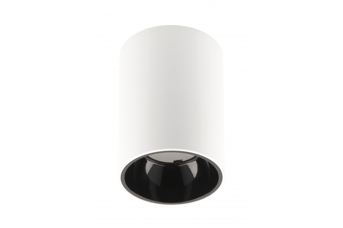 Ceiling luminaire ARIES, PC, 73x105mm, IP20, max 20W, round, white/black