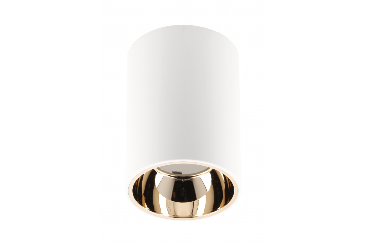 Ceiling luminaire ARIES, PC, 73x105mm, IP20, max 20W, round, white/gold