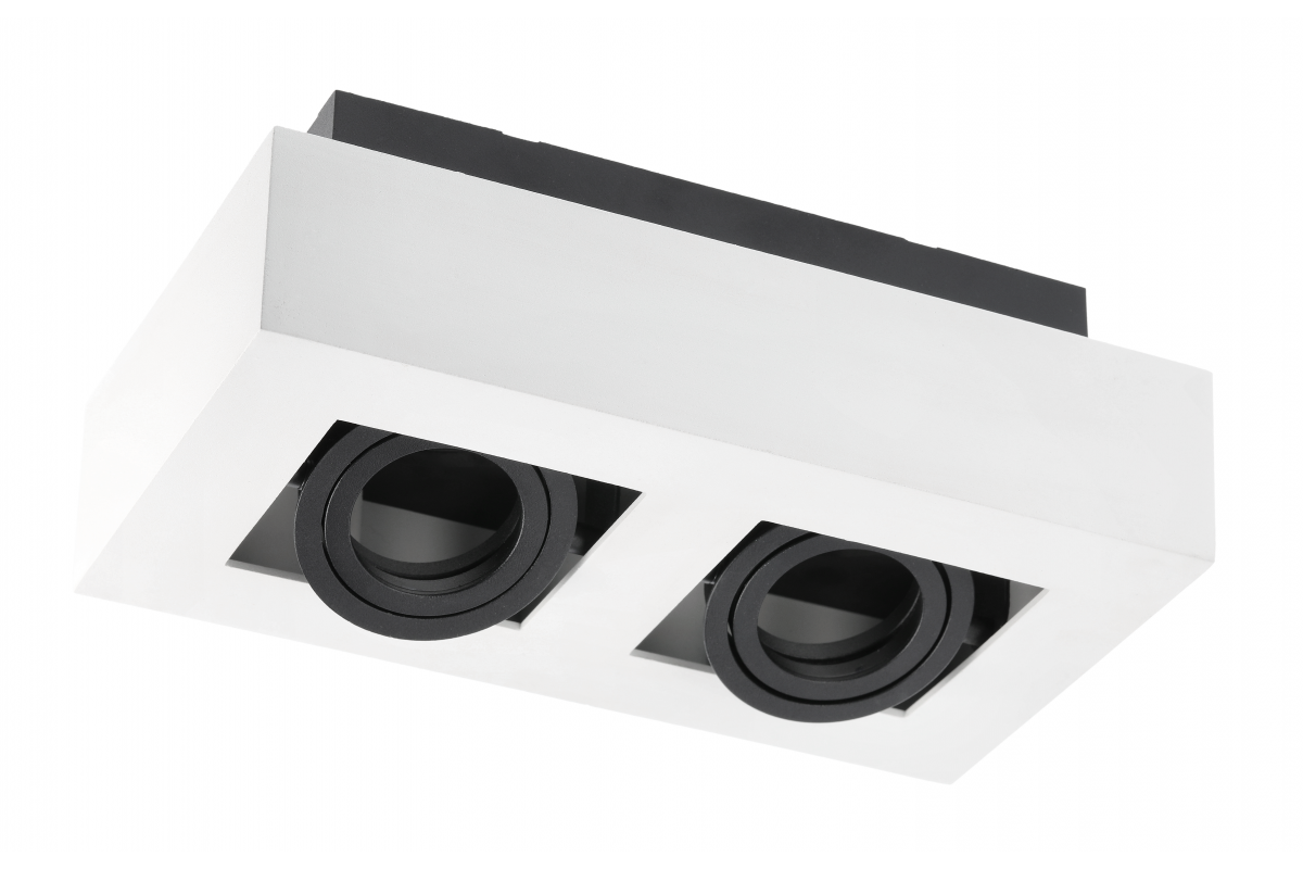 Ceiling fixture ASTER, AC220-240V, 50/60 Hz, GU10, max.20W * 2, IP20, aluminum, double, white