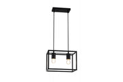 Ceiling fixture DIU2 ,3628, AC220-240V,50/60Hz,2*E27, IP20,30CMX18CMX20CM,double, black