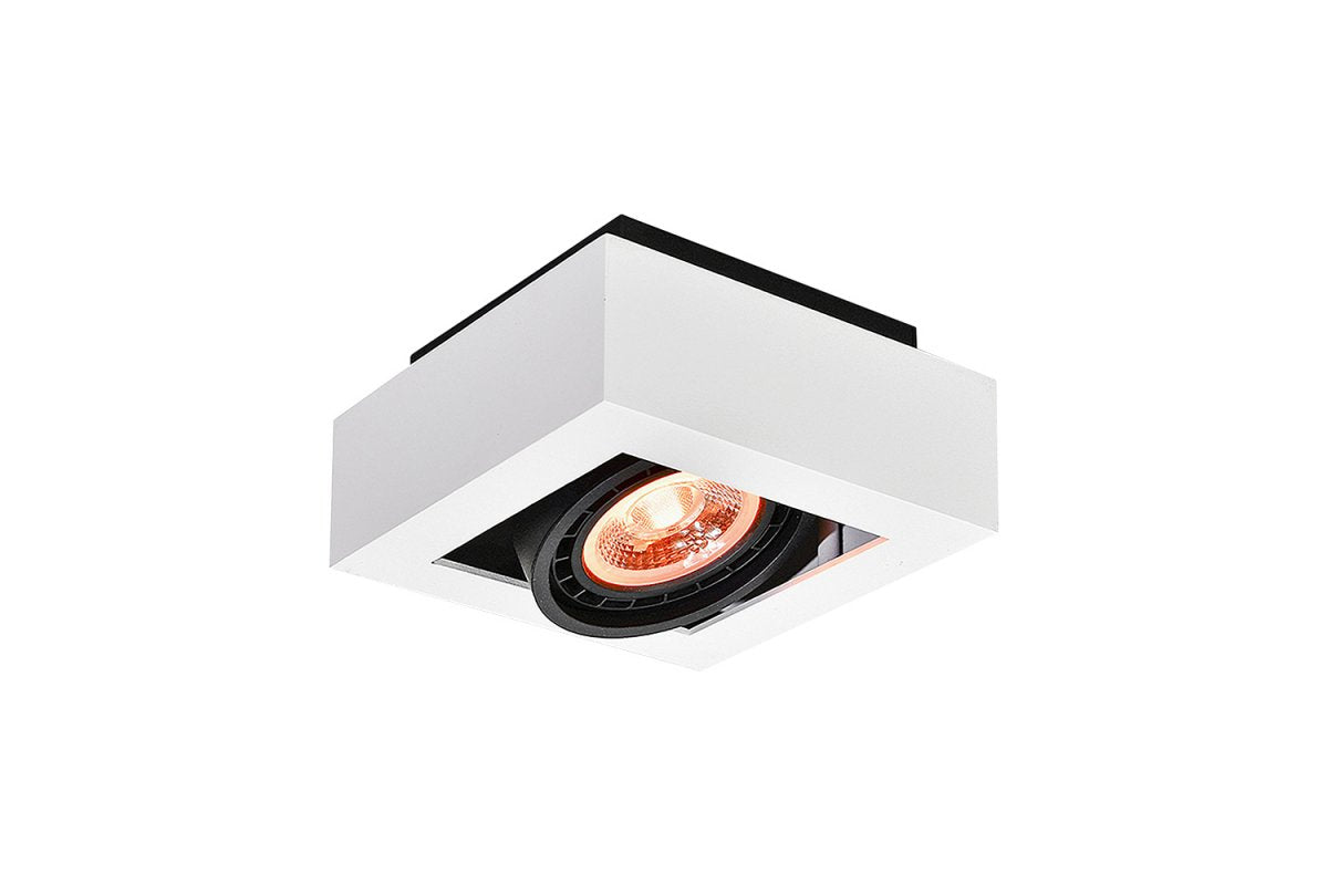 Ceiling fixture Loid, 4632,AC220-240V, 50/60 Hz, IP 20,1*gu10, ES111,single,white