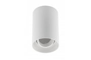 Ceiling light fixture RESTO, PC, ?80x125mm, IP20, max 20W, round, white