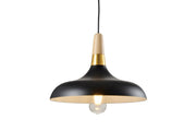 Ceiling fixture SKANDI 2,7382,AC220-240V,50/60Hz,1*E27, IP20, Diameter 35 CM, single, black