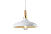 Ceiling fixture SKANDI 4,7504,AC220-240V,50/60Hz,1*E27, IP20, Diameter 35 CM, single, white