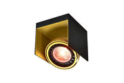 Ceiling fixture Verso,4199,AC220-240V, 50/60 Hz, IP 20,1*GU10, ES111 single, black/gold