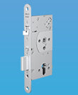 Electro-Mechanical Locks