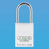 Titanium Padlock